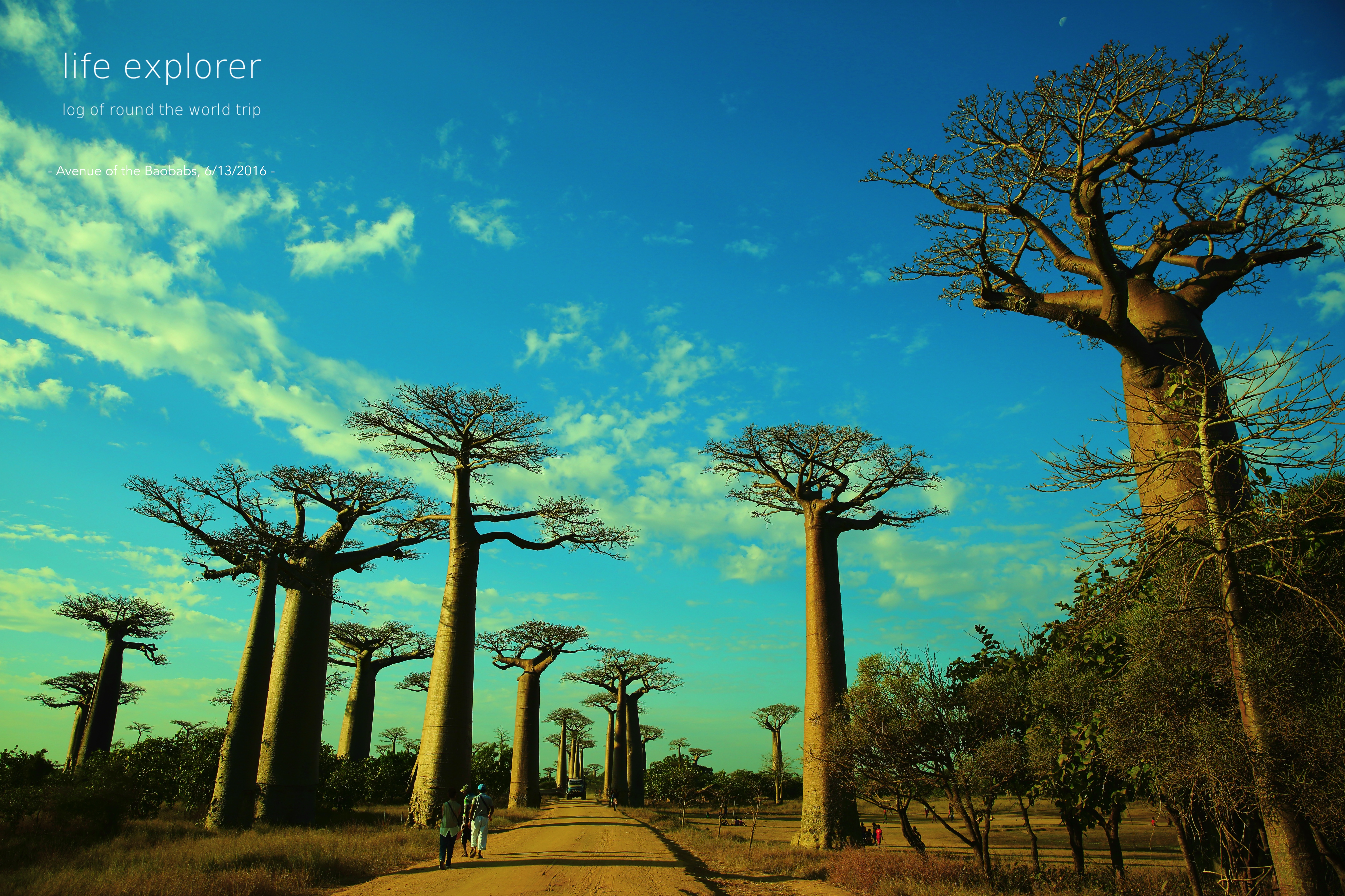 Avenue of the Baobabs Мадагаскар