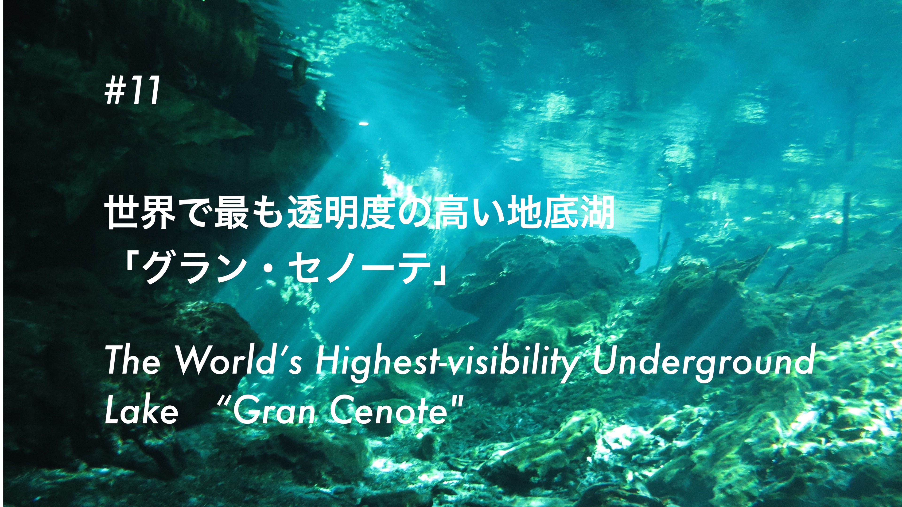 #11 世界で最も透明度の高い地底湖 「グラン・セノーテ」- The World’s Most Visible Underground Lake “Gran Cenote”