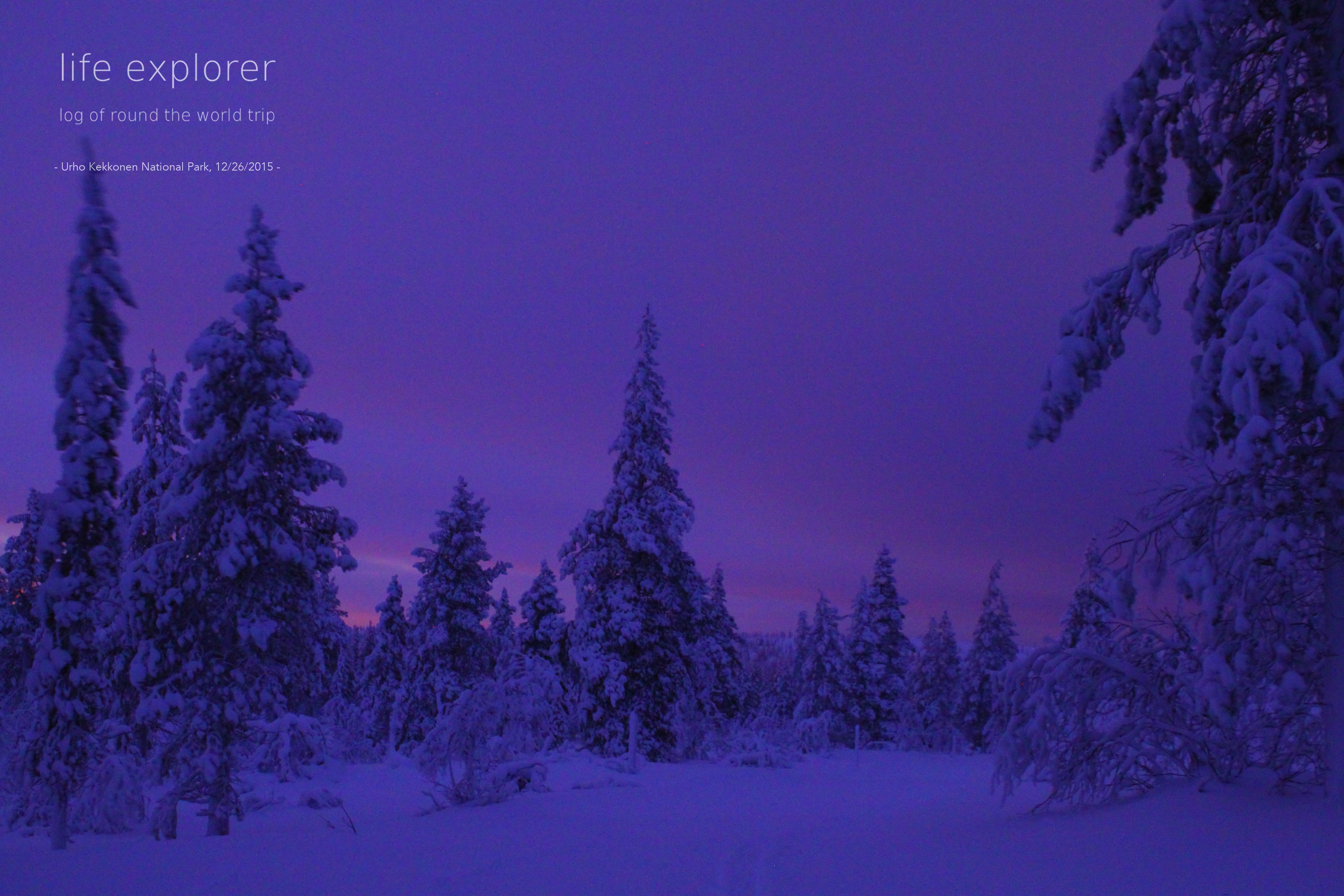 #29 世界で最も長い夜 「極夜 in ラップランド」- The World’s Longest Night “Polar Night in Lapland”